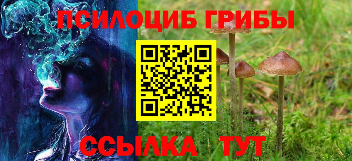 Галлюциногенные грибы Cubensis Прокопьевск