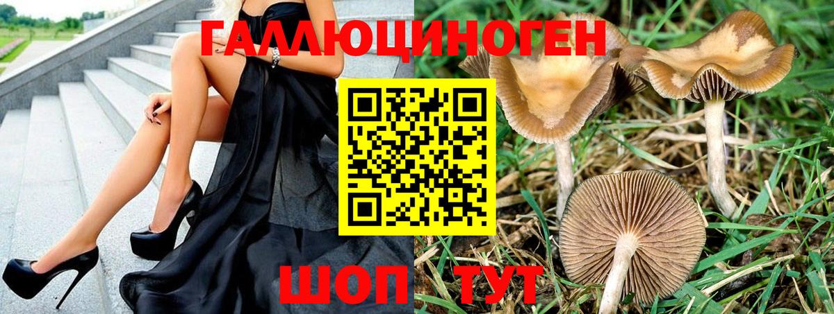 Псилоцибиновые грибы Psilocybe  Псилоцибиновые грибы Magic Shrooms  Вход с VPN  Прокопьевск 