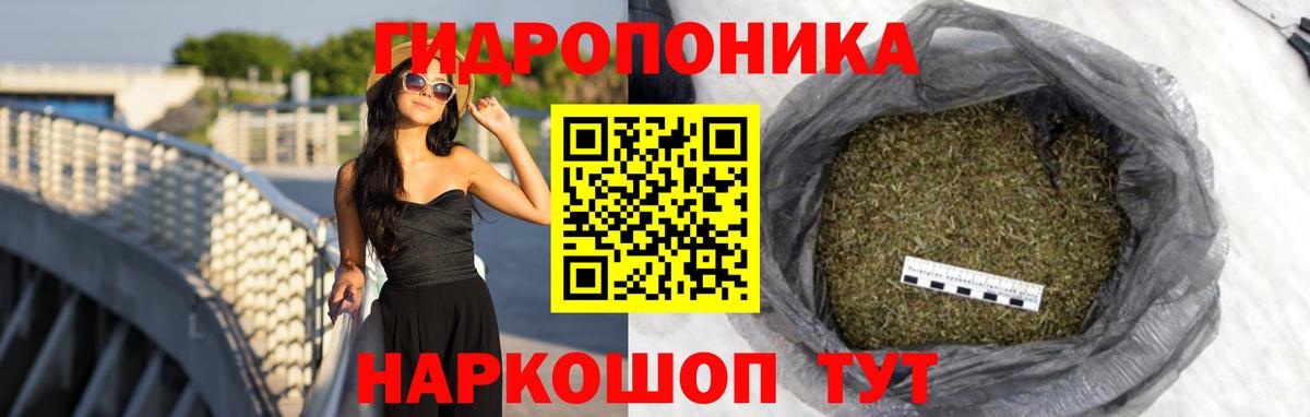 Бошки Шишки сатива Прокопьевск